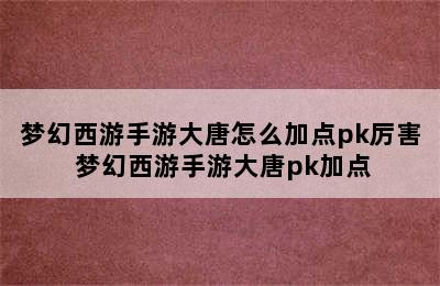 梦幻西游手游大唐怎么加点pk厉害 梦幻西游手游大唐pk加点